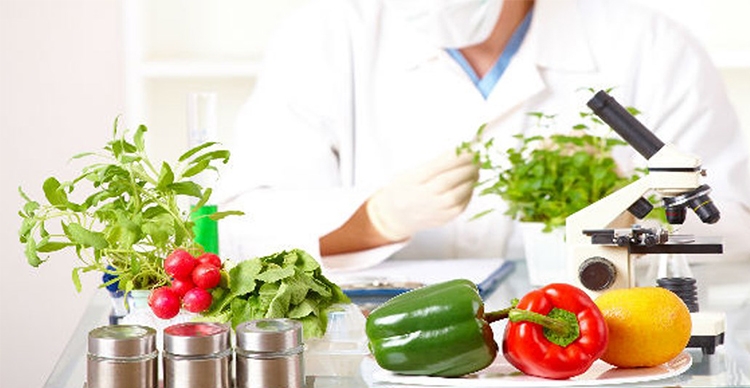 Agricultura y alimentos
